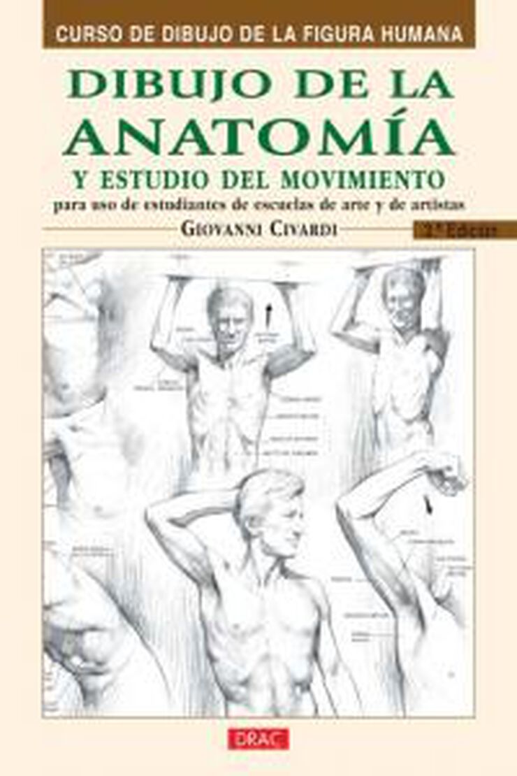 Dibujo de la anatomía y estudio del movimiento