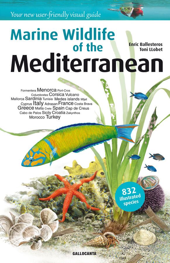 Marine Wildlife of the Mediterranean