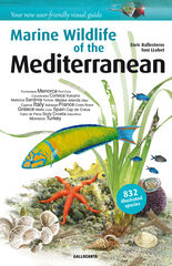 Marine Wildlife of the Mediterranean