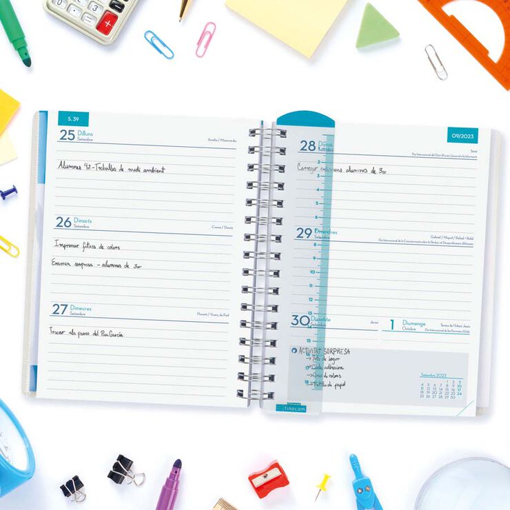 Agenda Magistral Finocam 1/4 SV 23-24 Blau Cat