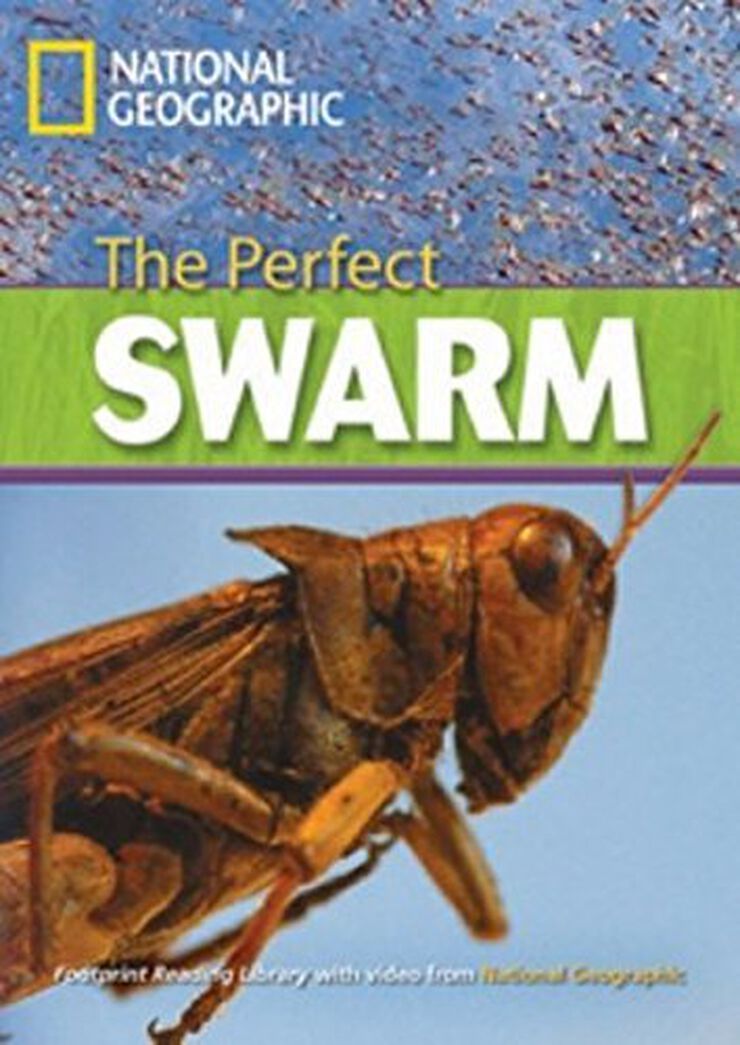 Perfect Swarm. 3000