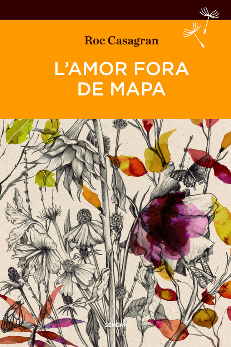 Amor fora de mapa, L'