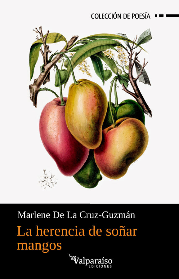 La herencia de so&ntilde;ar mangos