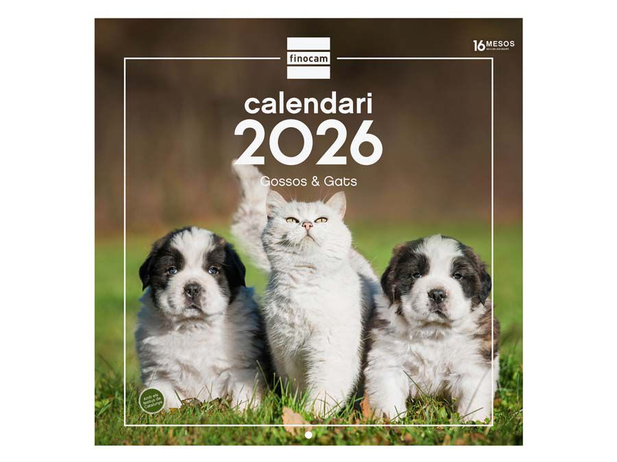 Calendari paret Finocam 30x30 2026 Gosso i Gats catal&agrave;
