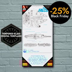 Falcó Mil·Lenari Plànols Vidre Sw 30X60