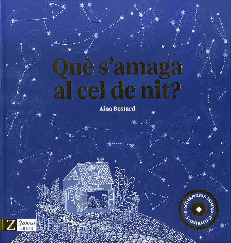 Què s'amaga al cel de nit?