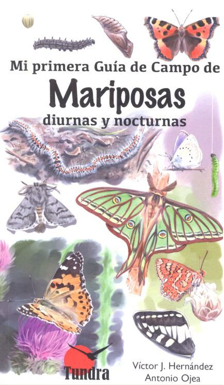 Mi primera guía de campo de mariposas diurnas y nocturnas