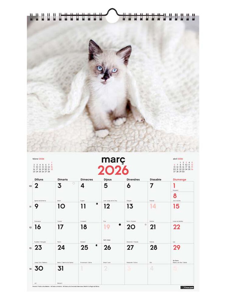 Calendario pared Finocam espiral 25x40 2026 Gatitos catalán