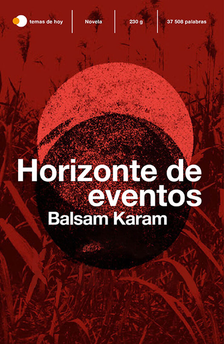 Horizonte de eventos