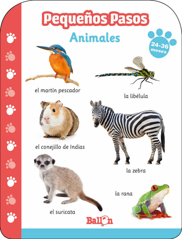 Pequeños pasos. Animales 24-36 meses