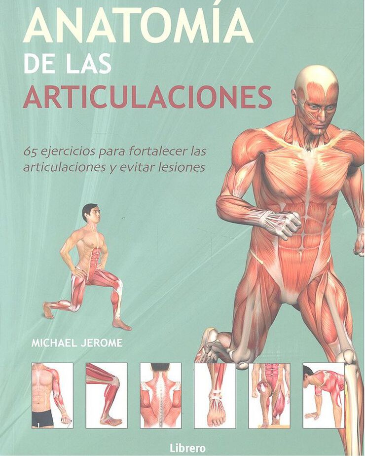 Anatomía de las articulaciones