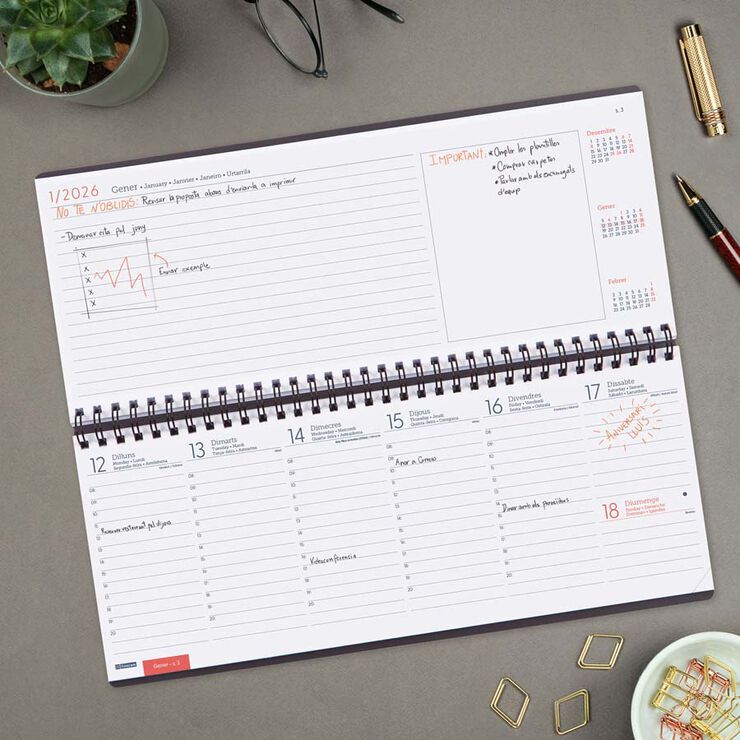 Planificador Finocam sem/vista vertical+Notas cat 2026 gris