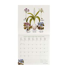 Calendari paret Legami 30X29 2024 Herbarium