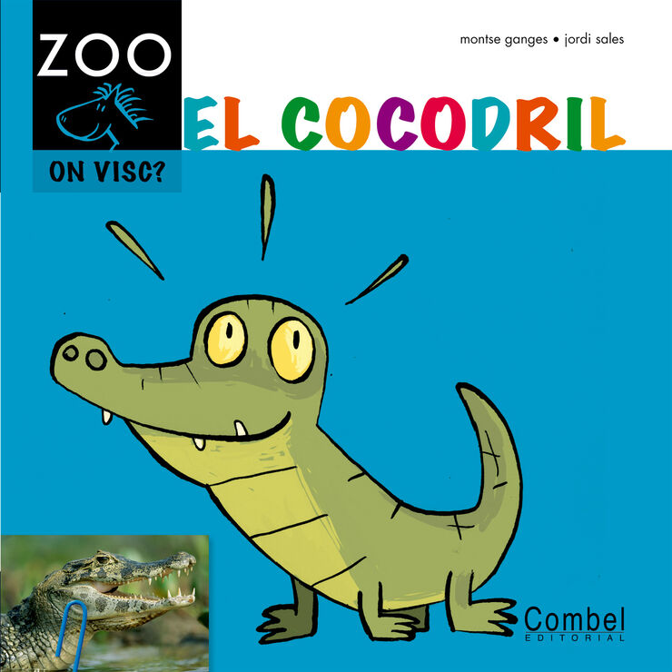 El cocodril - Zoo