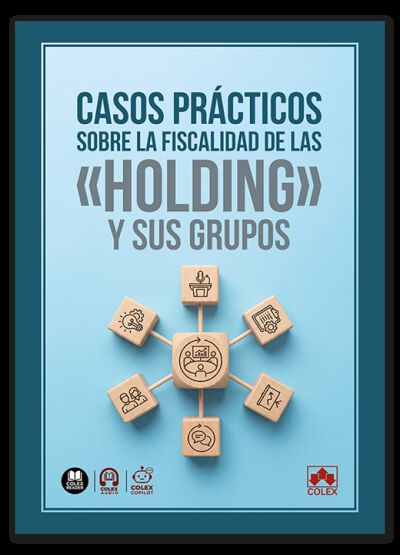 Casos pr&aacute;cticos sobre la fiscalidad de las &laquo;holding&raquo; y sus grupos