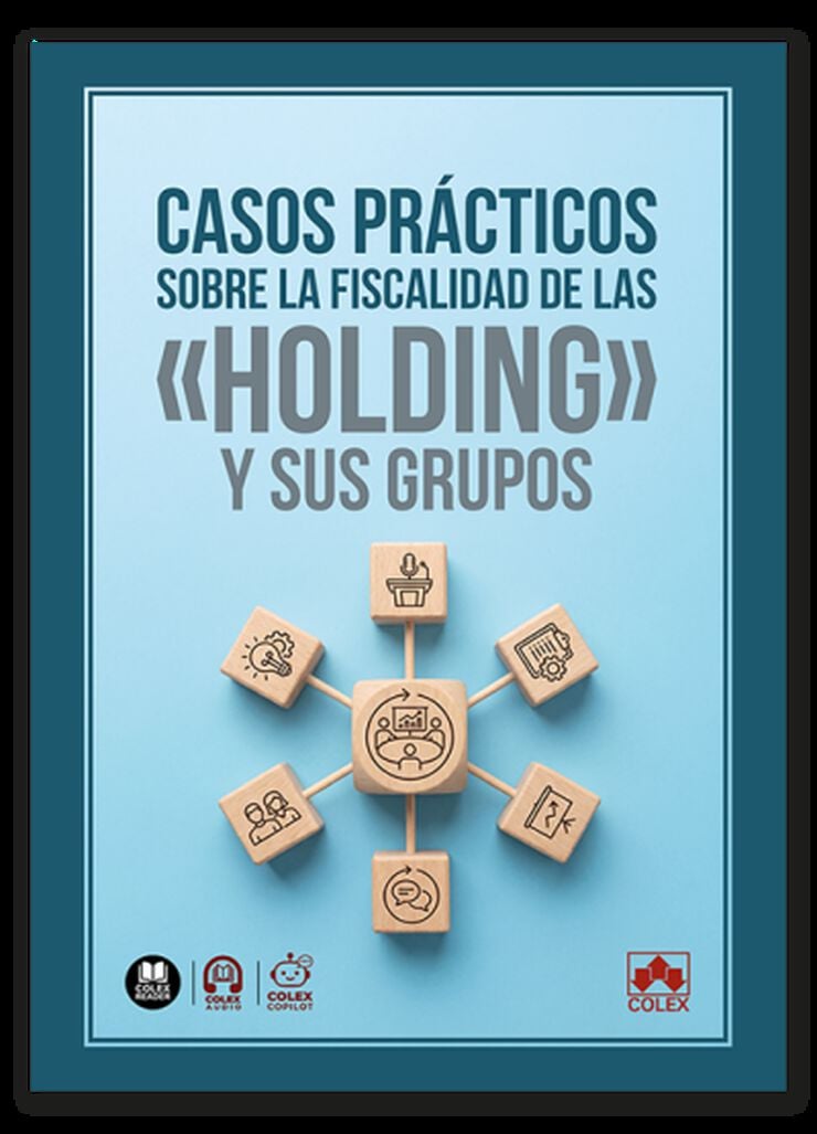 Casos pr&aacute;cticos sobre la fiscalidad de las &laquo;holding&raquo; y sus grupos