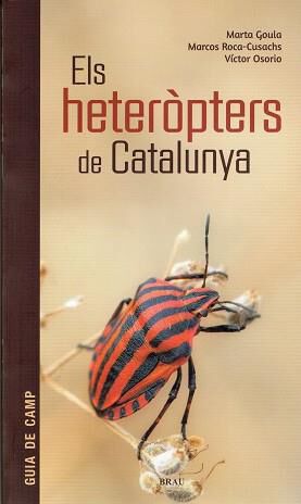 Els heter&ograve;pters de Catalunya
