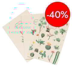 Pack 3 Llibretas A5 Kokonote Botanical Cacti
