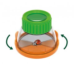 Terrario