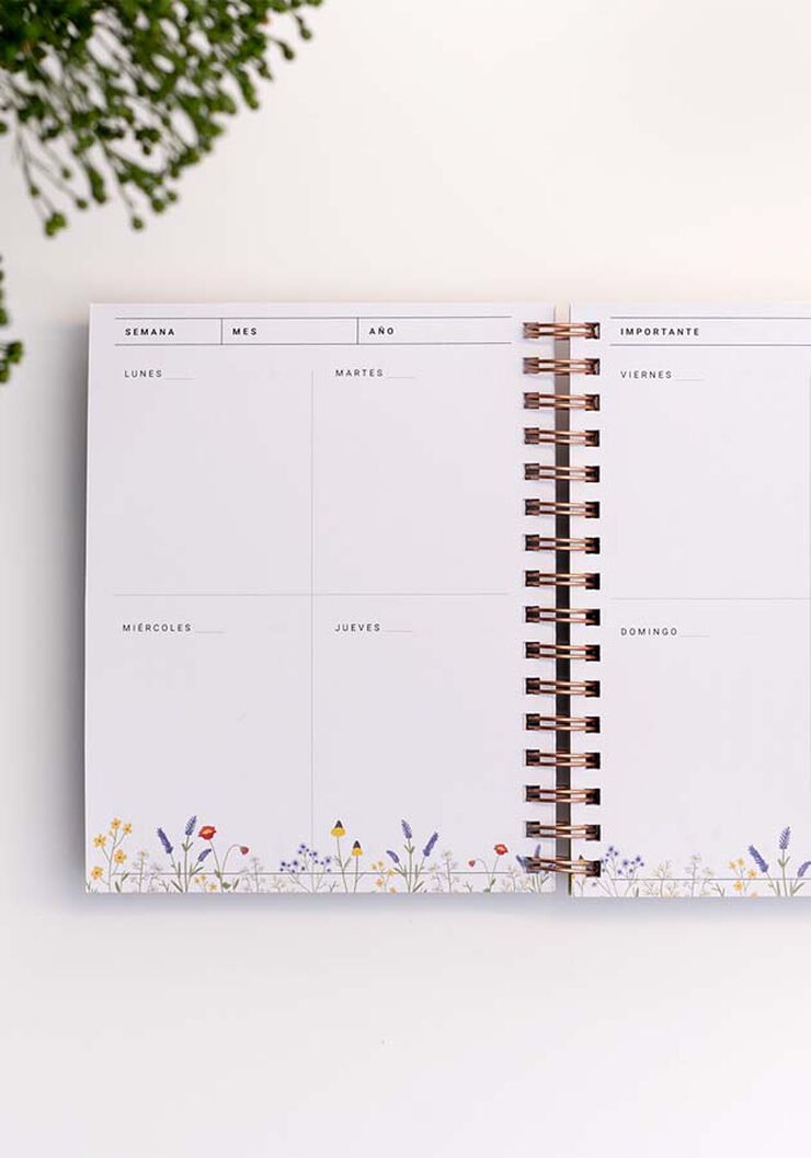 Organizador semanal mini Silvestre