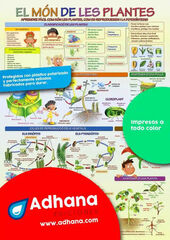 ADHAC 35x50 Món de les plantes