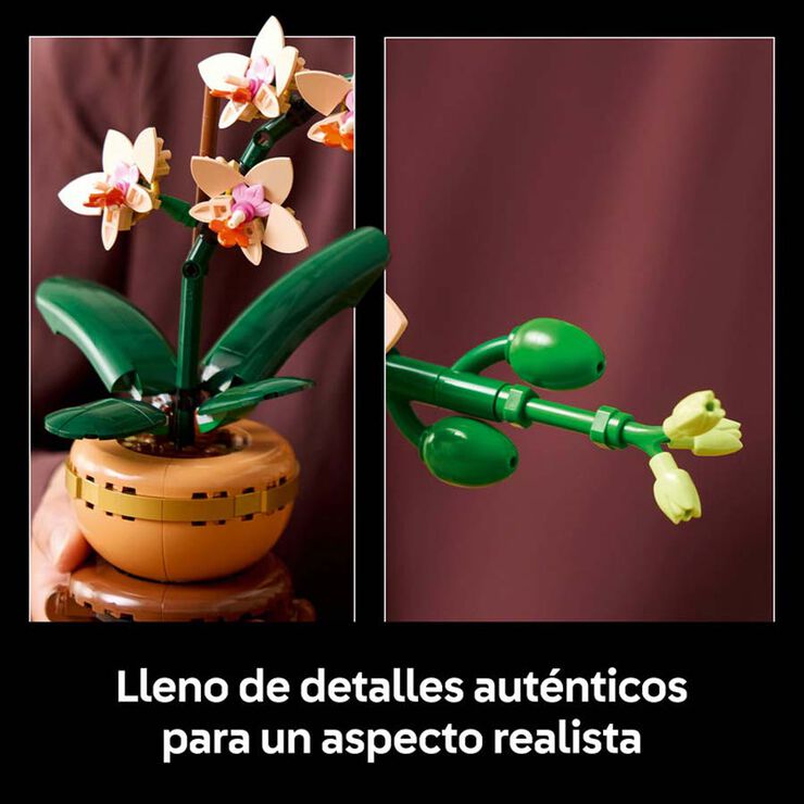 LEGO® Botanicals Miniorquídea 10343