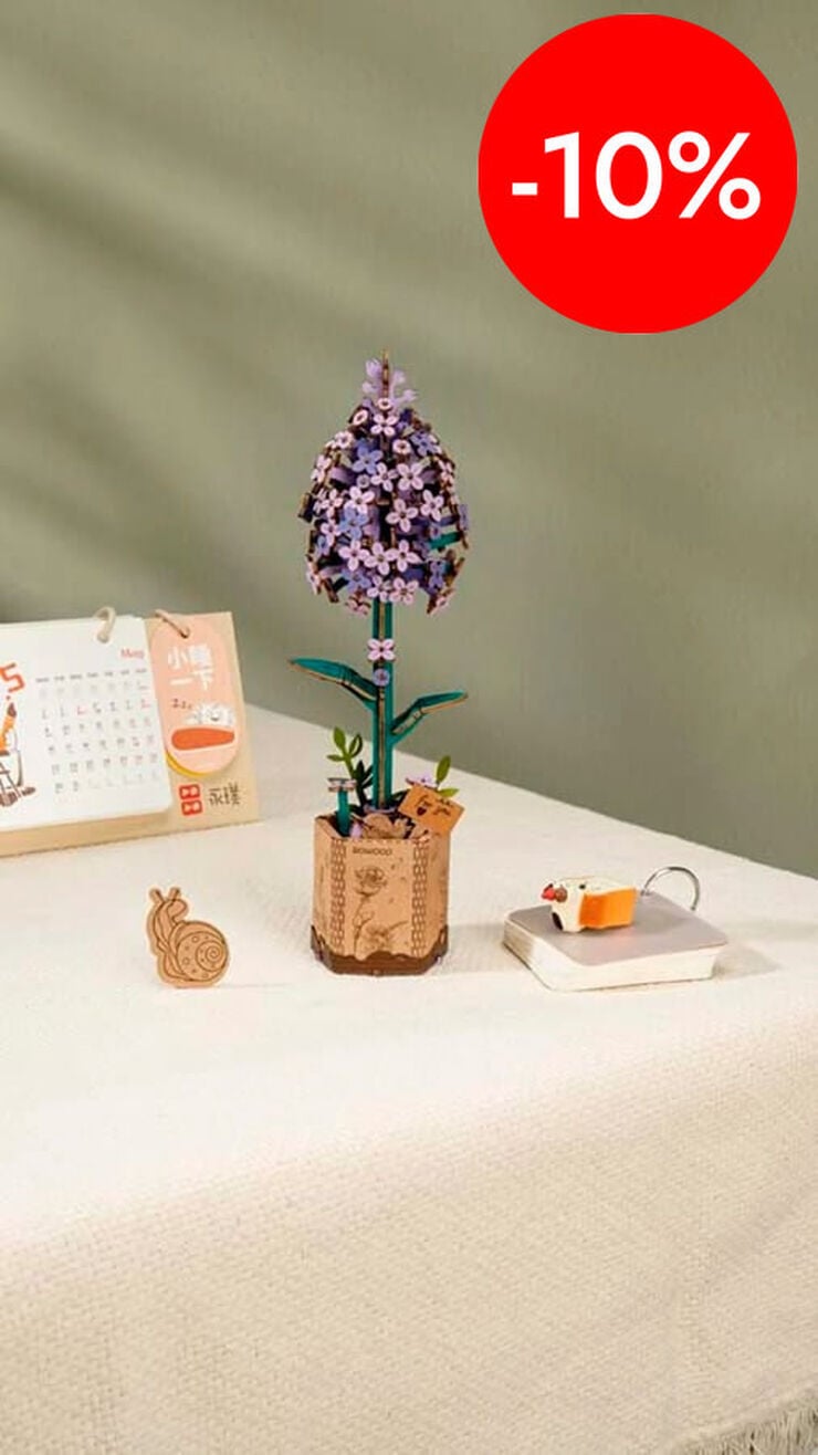 Maqueta Rolife Lila