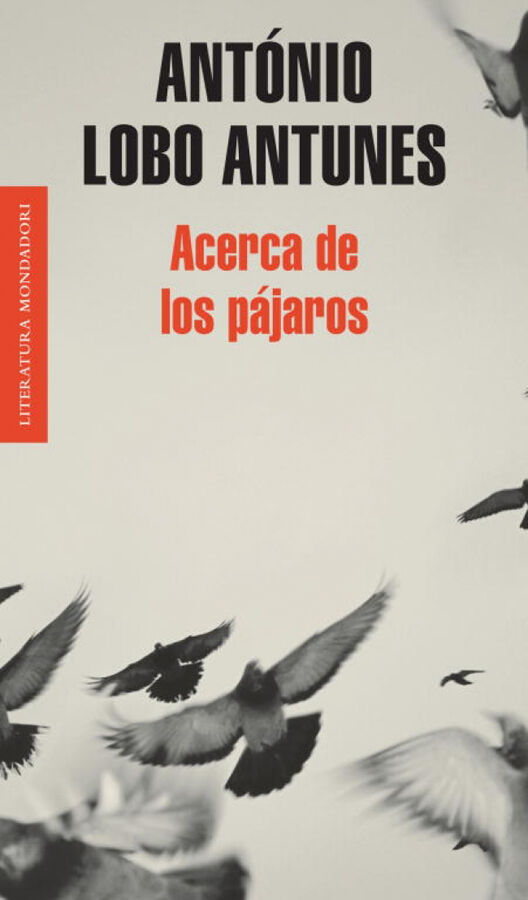 Acerca de los p&aacute;jaros