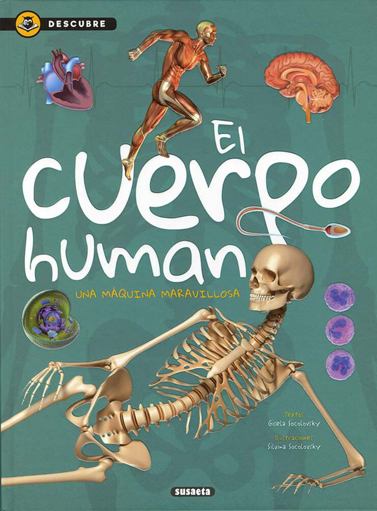 El cuerpo humano