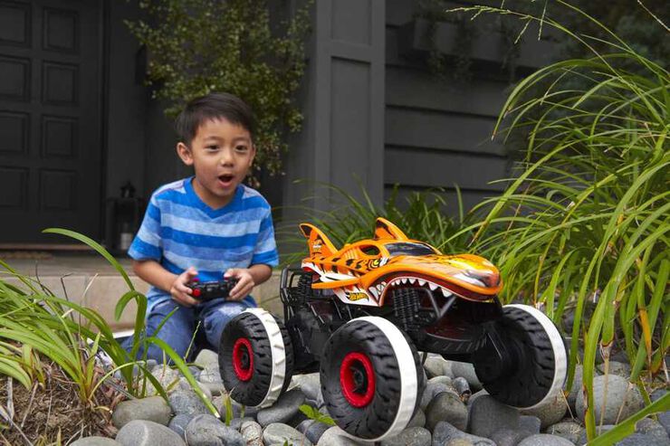 Hot Wheels Monster Trucks Radio Control