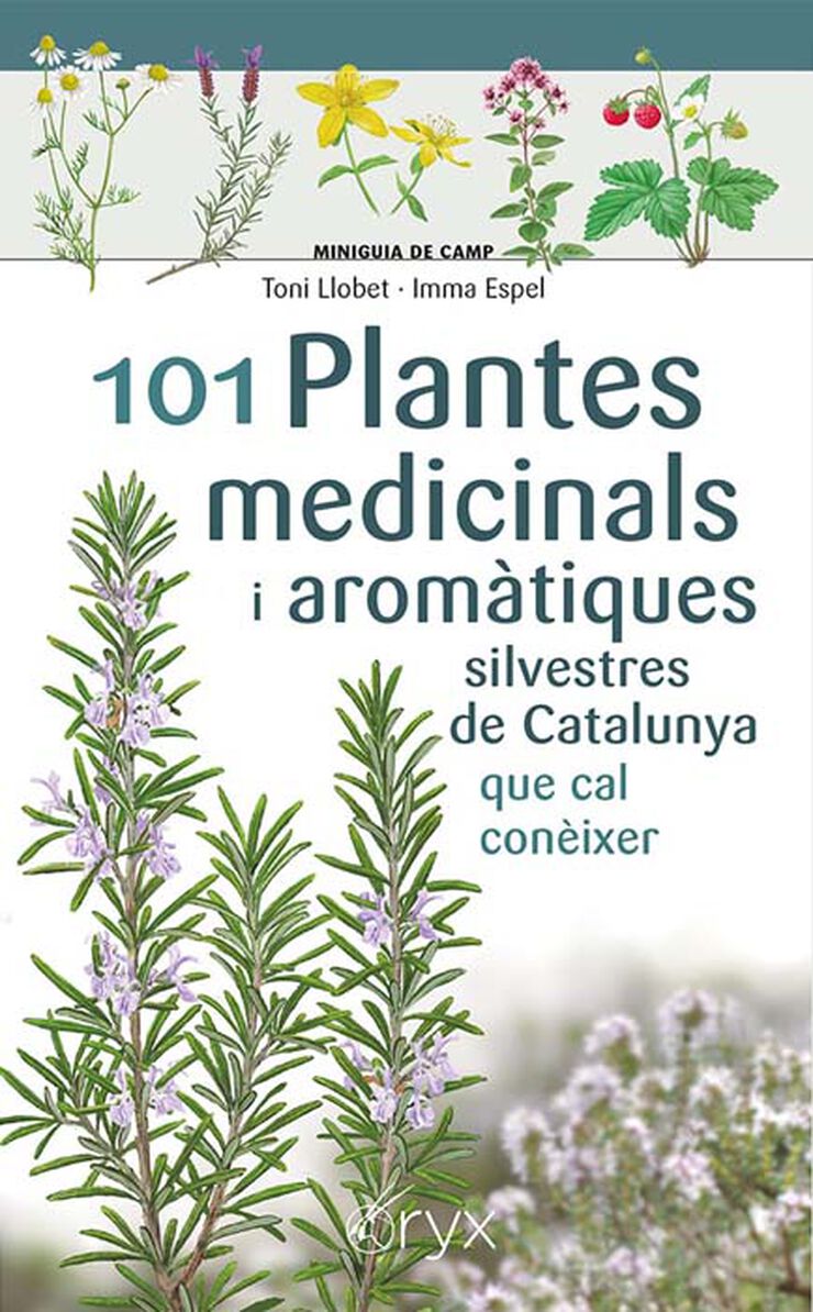 101 Plantes medicinals i aromàtiques silvestres de Catalunya