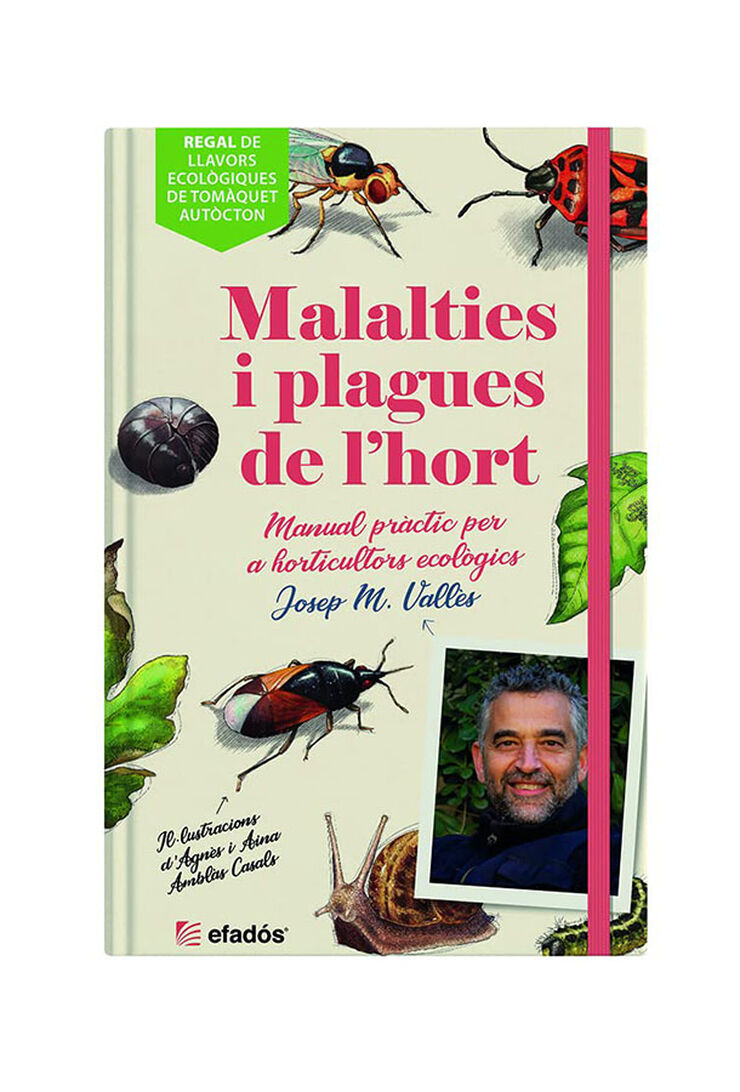 Malalties i plagues de l'hort