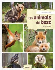 Els animals del bosc -Valenciá- Els animals del bosc -Valenciá-