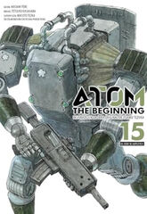 Atom: The beginning 15