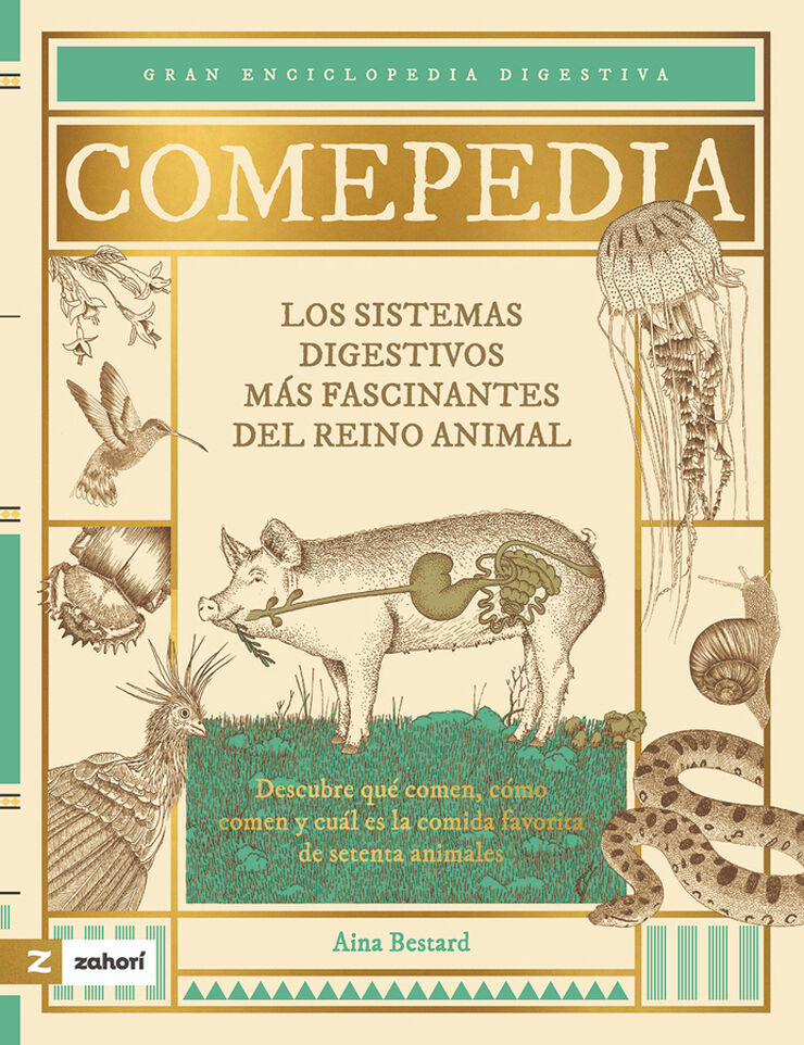 Comepedia