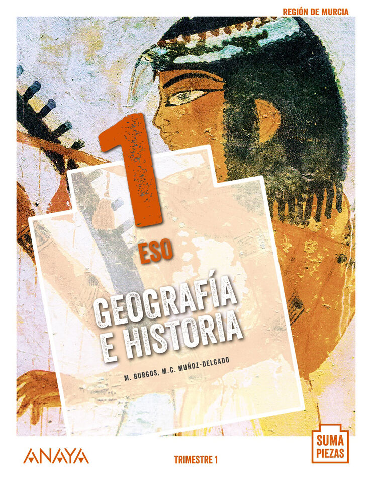 Geografía E Historia/20 Eso 1 Anaya Text 9788469861561