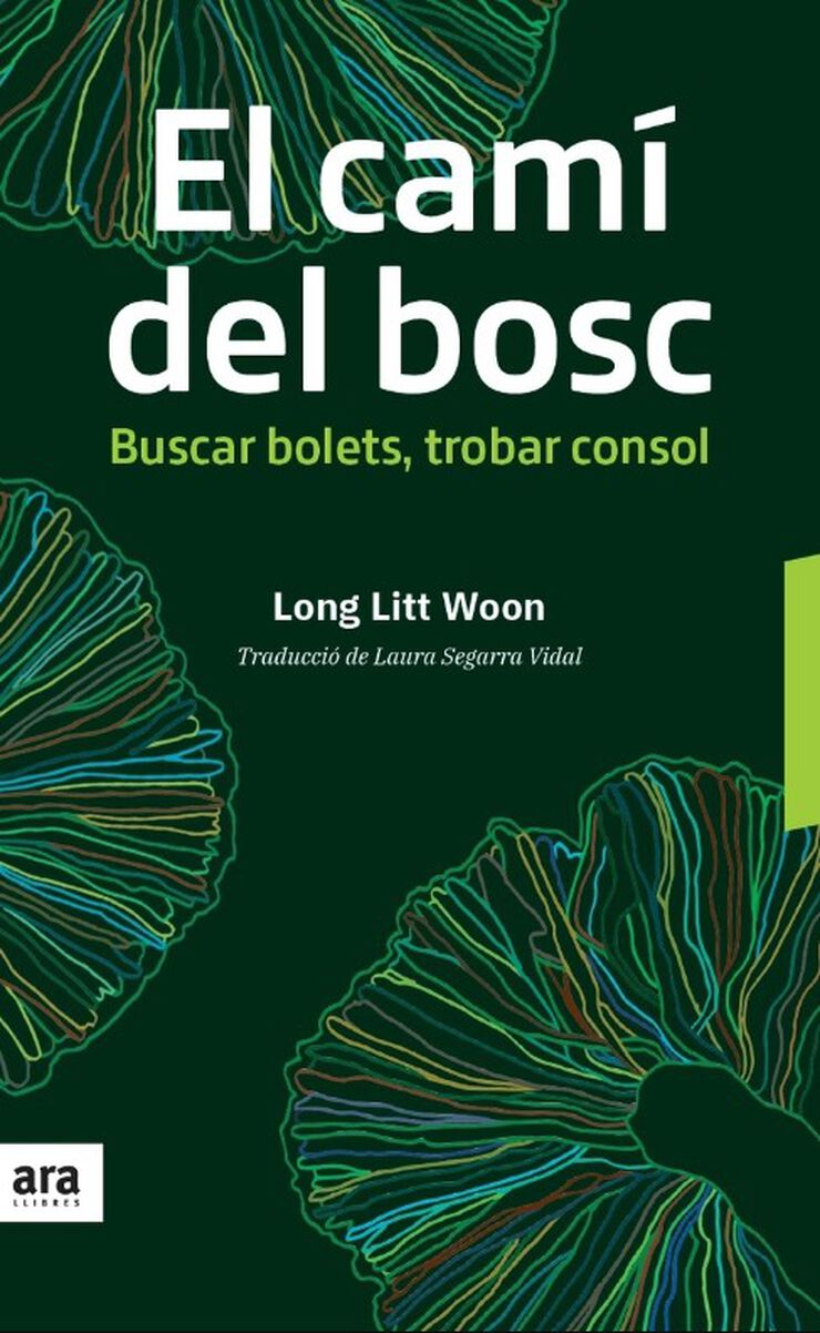 El camí del bosc El camí del bosc
