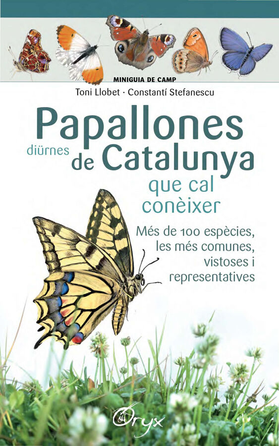 Papallones di&uuml;rnes de Catalunya