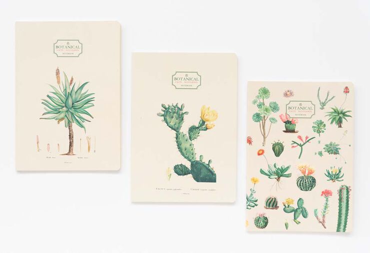 Pack 3 Cuadernos A5 Kokonote Botanical Cacti