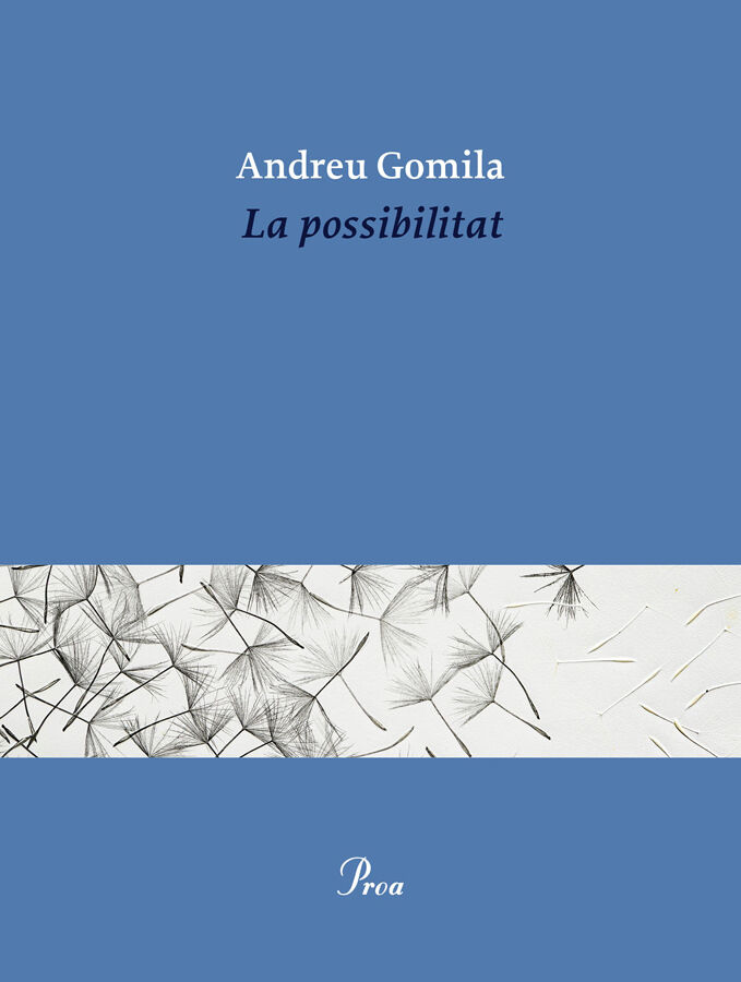 La possibilitat