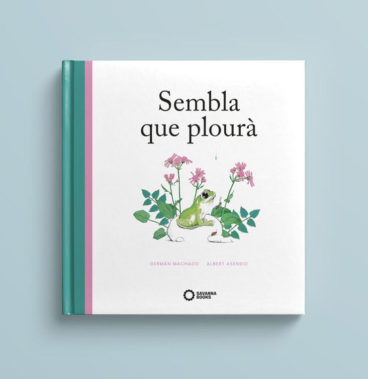 Sembla que plourà