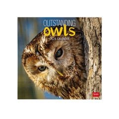 Calendari paret Legami 30x29cm 2026 Owls