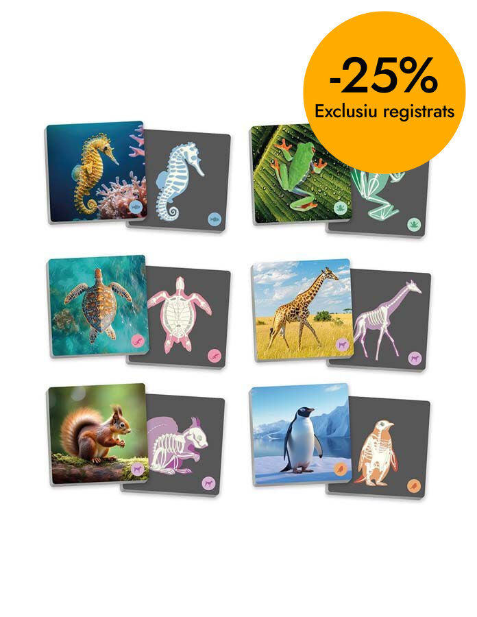 Maxi Memory Animales vertebrados y su esqueleto