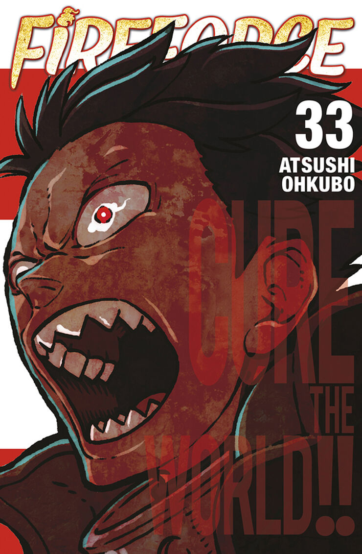 Fire force 33