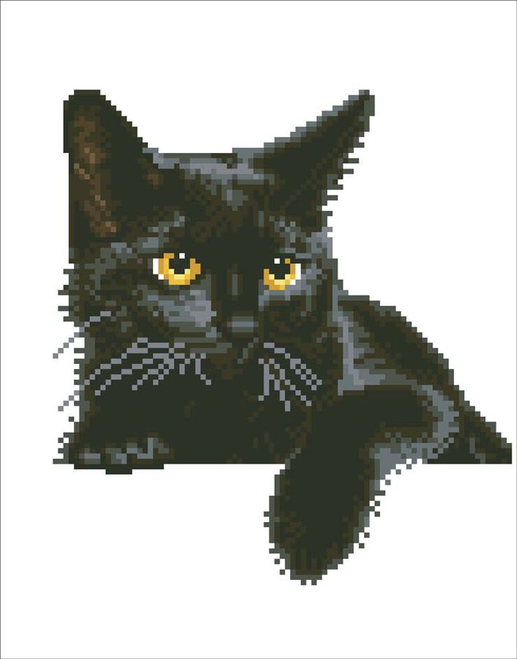 Diamond Dotz Gato negro