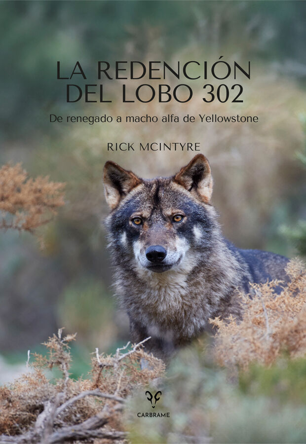 La Redenci&oacute;n del Lobo 302