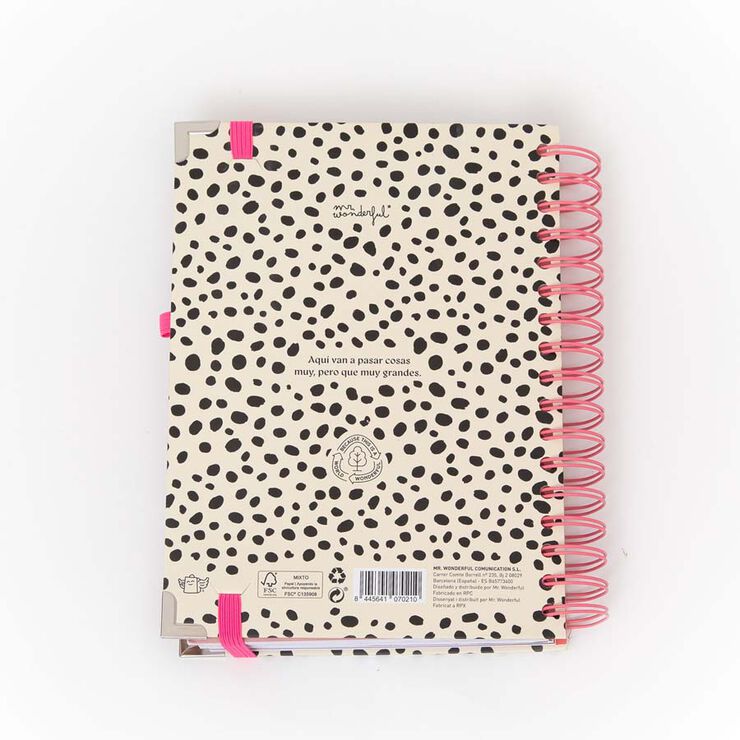 Agenda Mr.Wonderful Office día/pág 2026 cast Aquí y ahora