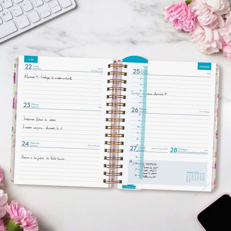 Agenda Finocam docente Magistral Design 1/4 sem/vista cas 2025-26 lilac