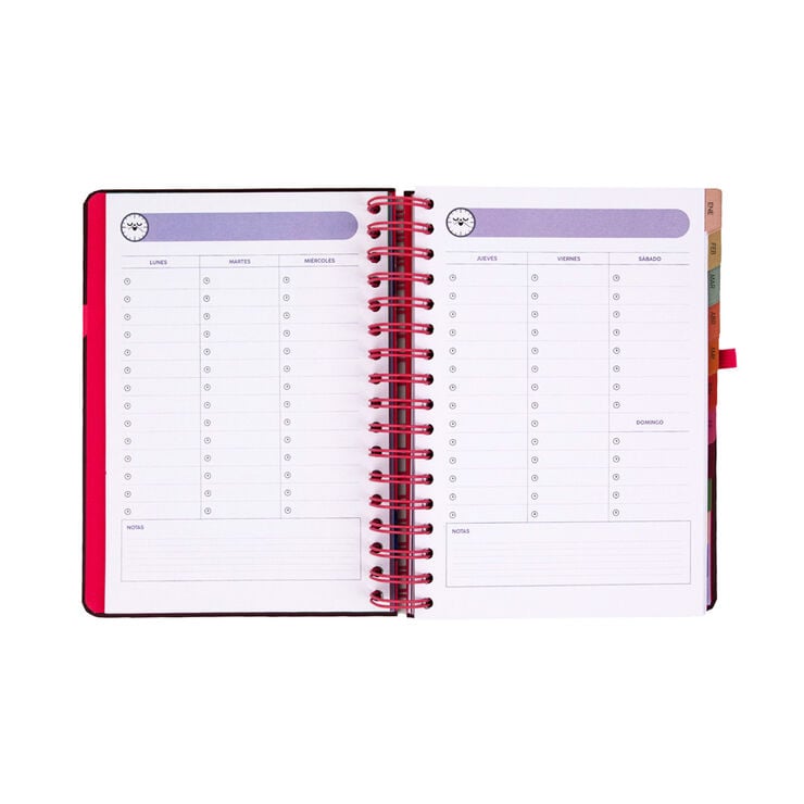 Agenda Mr. Wonderful Dia P&agrave;gina Full Aesthetic 2027 Multicolor