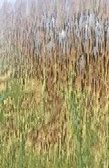 SUA Pirineo aragon&eacute;s -Poster p